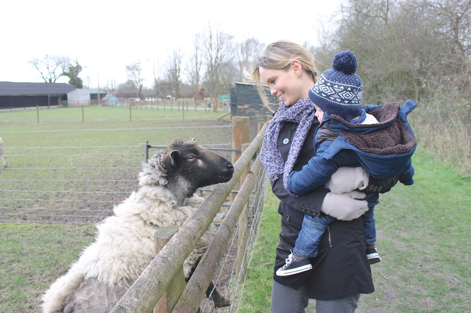 Feeding Goats in the Rain Alex Gladwin Blog