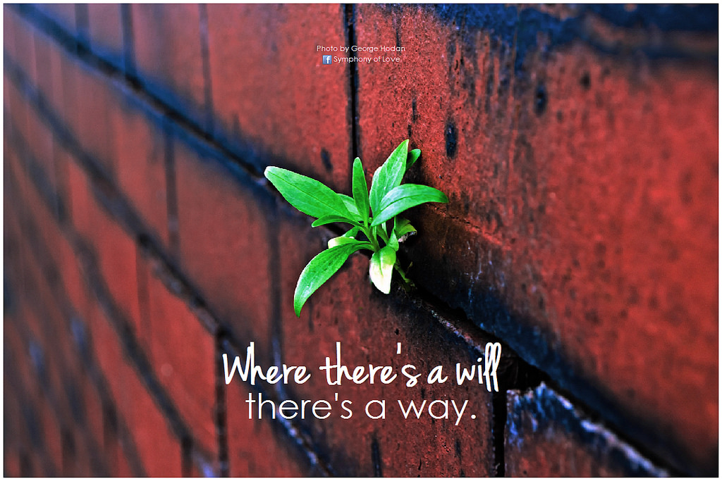 Essay on paper vs plastic