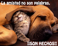 Amistad para Facebook Amistad para Facebook