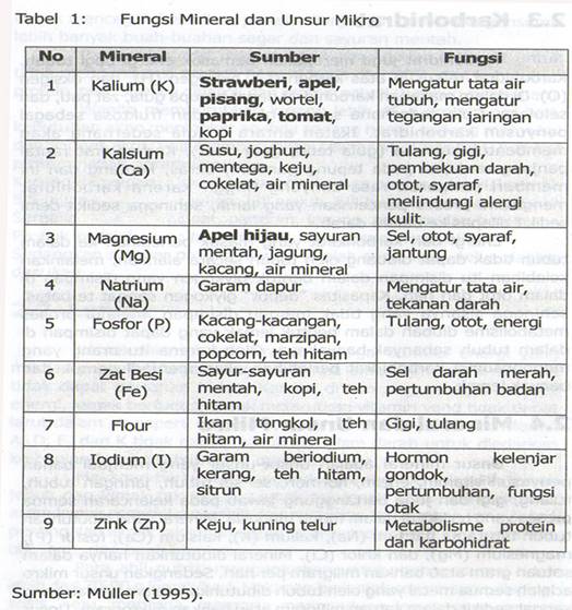 WAHANA GURU SISTEM PENCERNAAN MAKANAN PADA MANUSIA