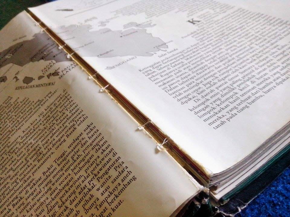 Blog Lipi Buku Perpustakaan Rusak Oleh Rayap