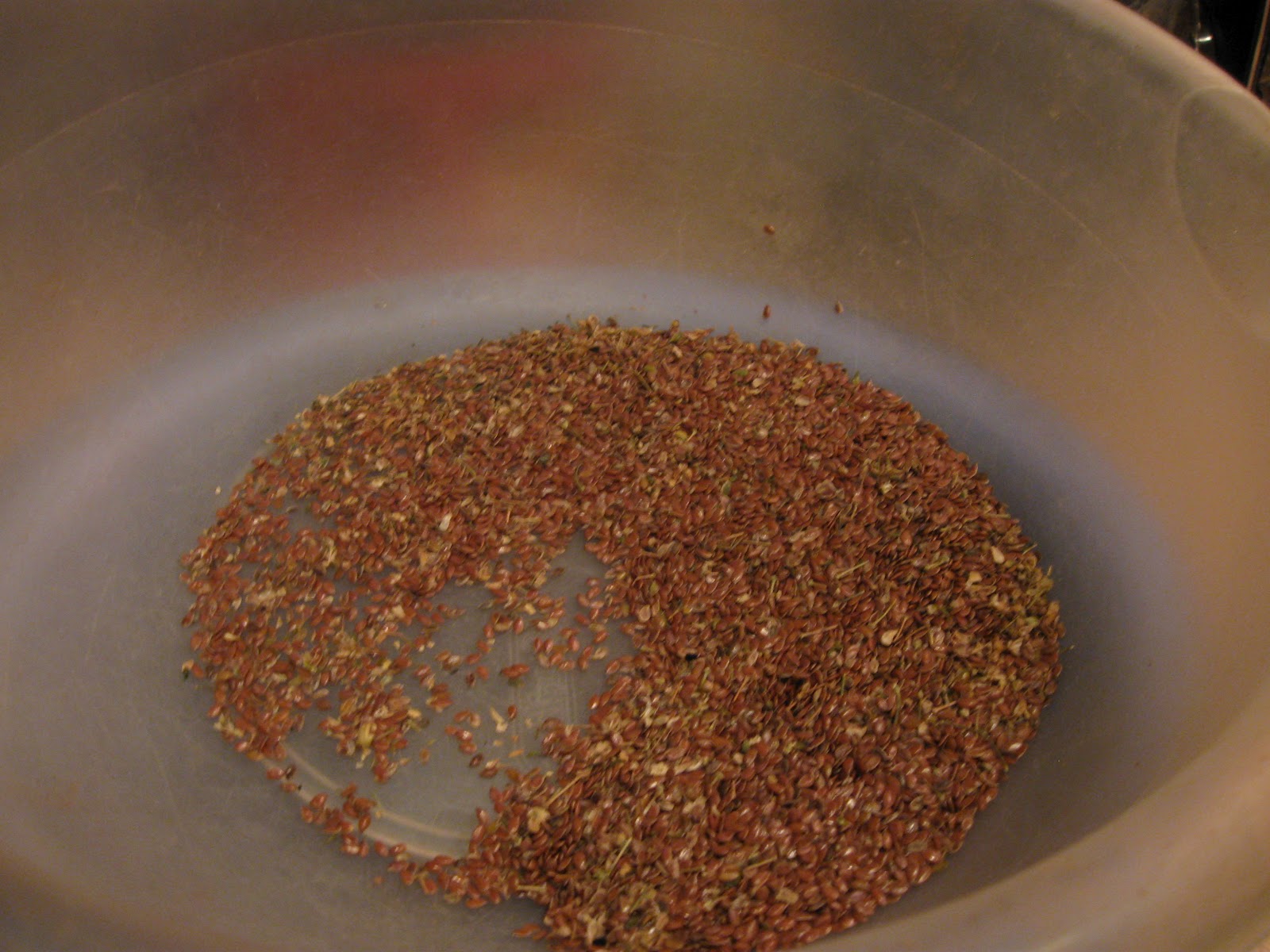 Growing Food in Florida Grow Flax Seed in a Home Garden