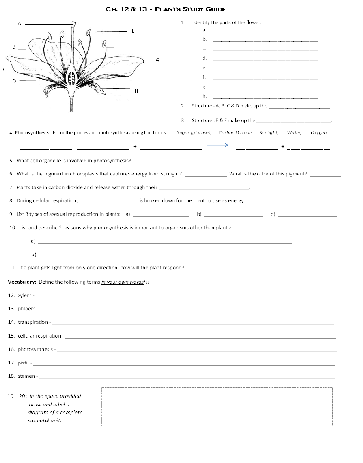 plants study guide Biology study guide is growth of spinach plants influenced by light wavelength hypothesis: spinach growth will be influenced by different wavelengths of light. plants study guide Biology study guide is growth of spinach plants influenced by light wavelength hypothesis: spinach growth will be influenced by different wavelengths of light.