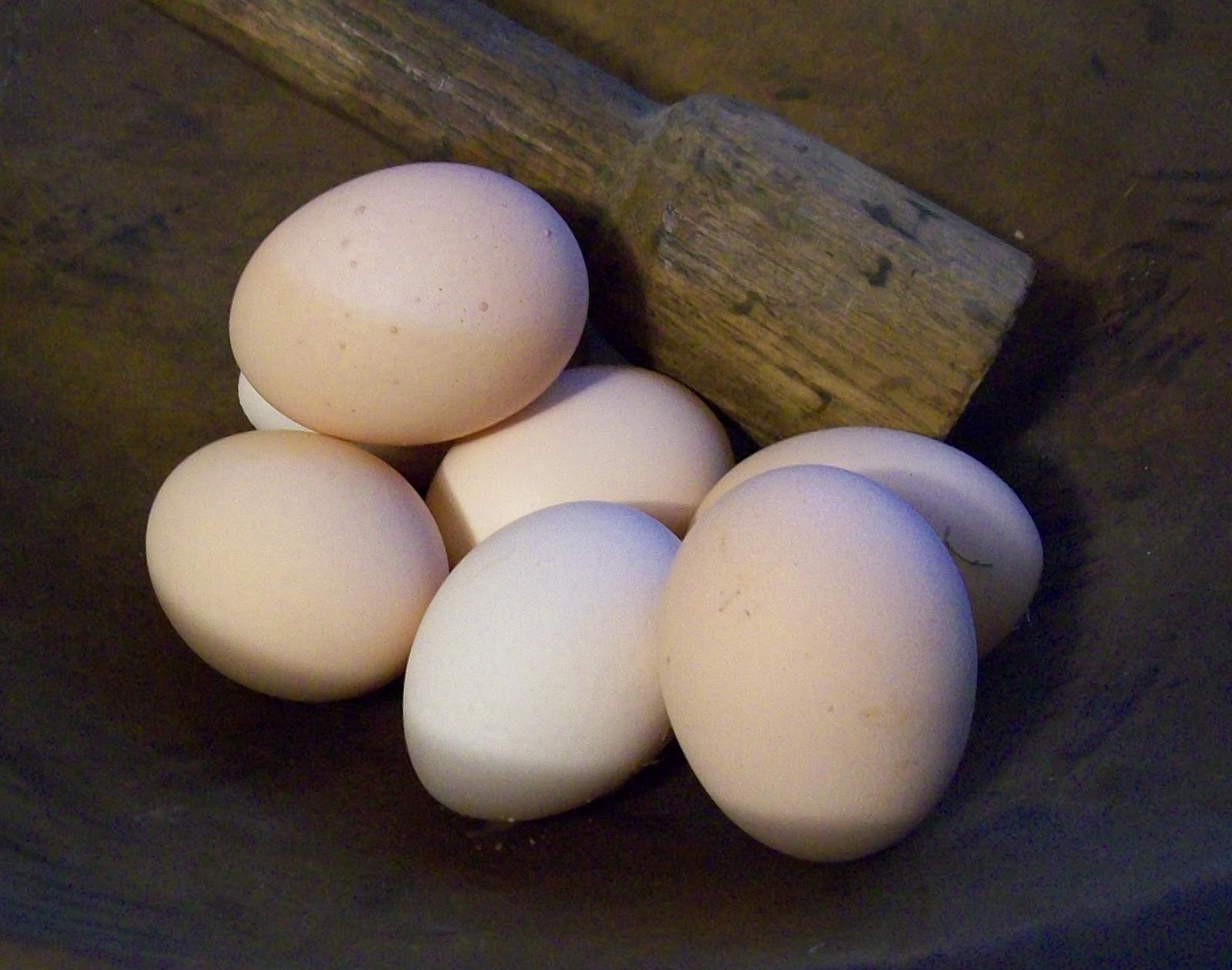 Light Sussex Pink Egg Layers Fresh Eggs Daily®