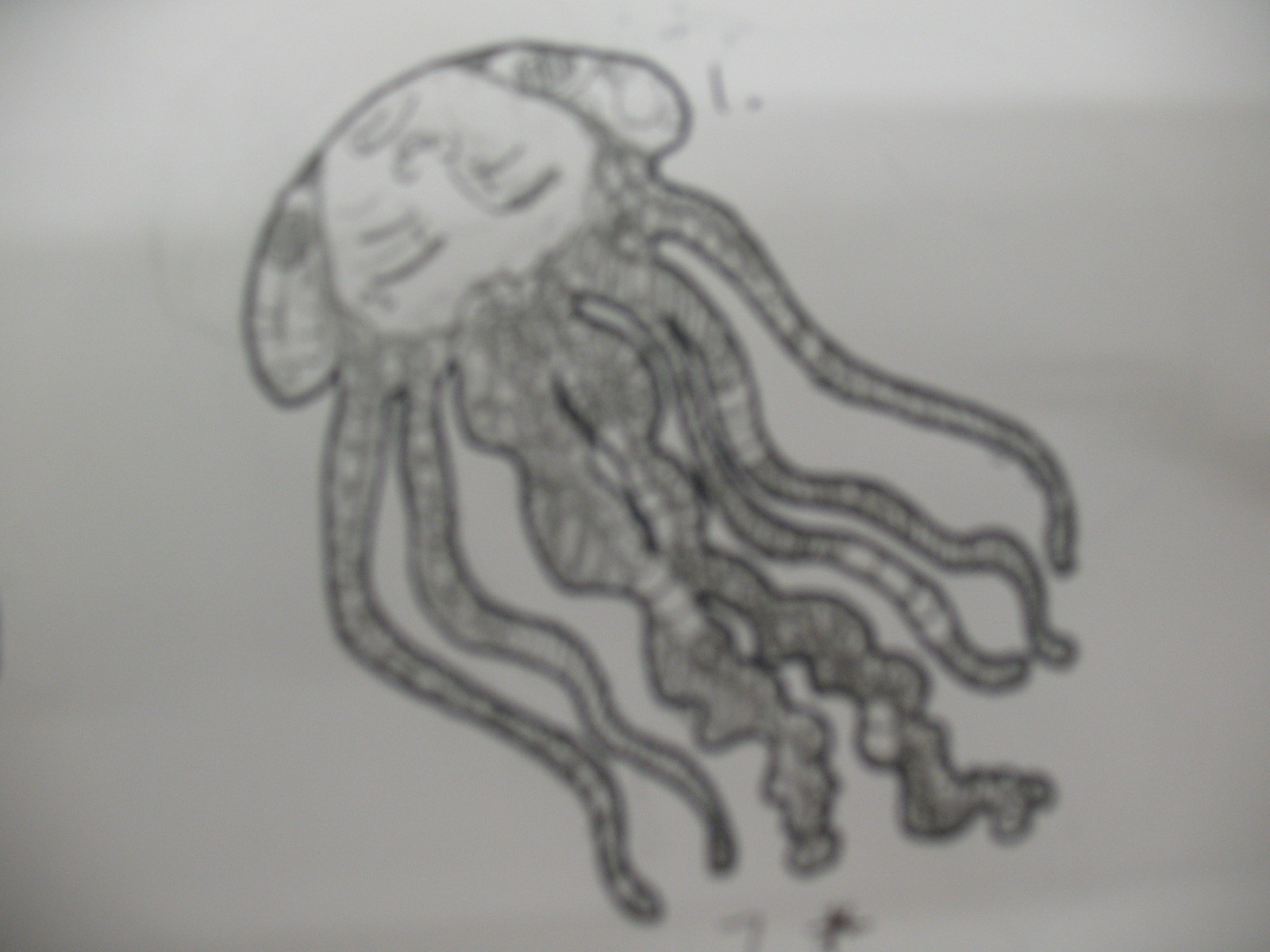 Illustration And Whatnot 15 Silhouettes