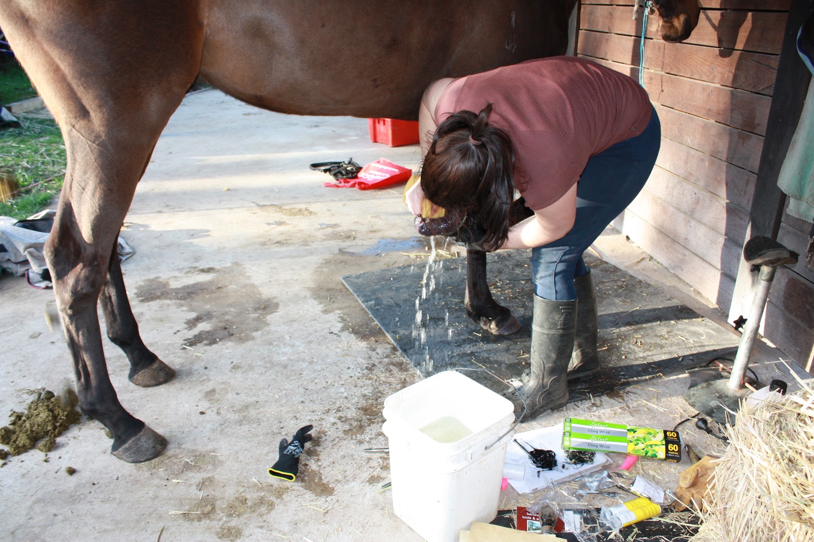 The Glorious Hoof Adventures with Hoof Casts