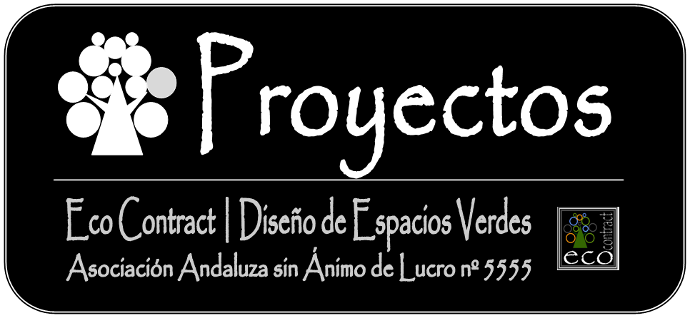 Proyectos