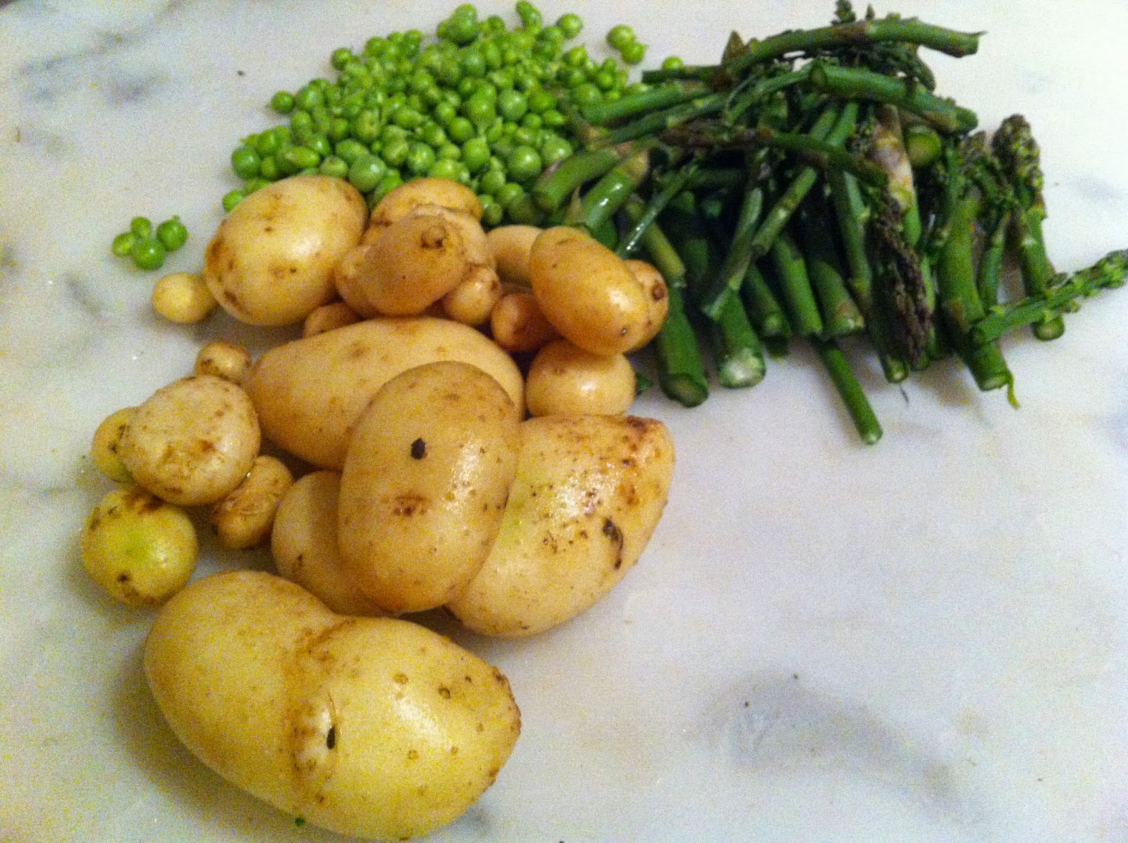 Apogee is the best time to plant Potatoes Maunga Kereru