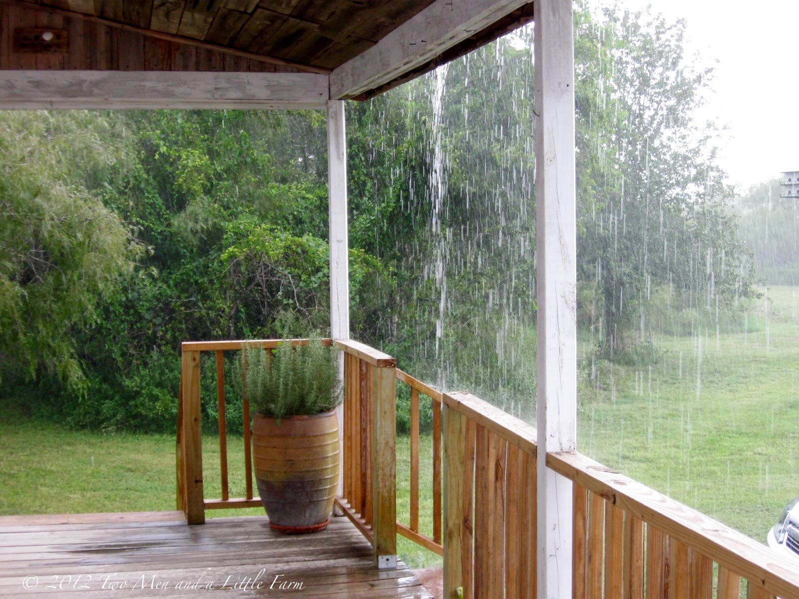 rain porch comes again farm