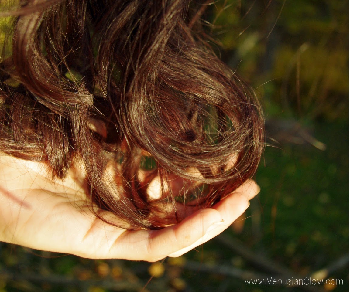 Two Ways To To Apply Conditioner For Faster And Better Of