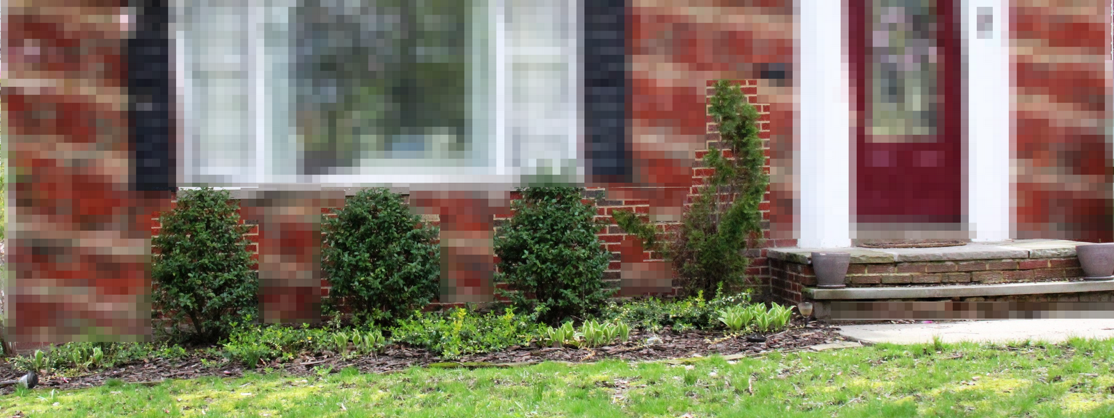 Stranded in Cleveland: Front Yard Transformation | Our Home | Suburban