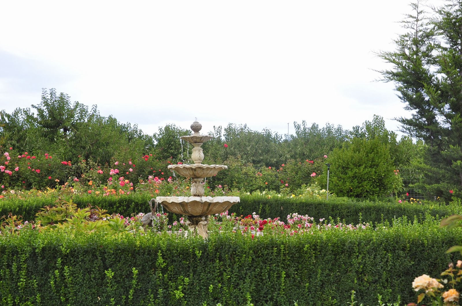 Reviews Restaurants, Cafes, Bars and Homecooked Meals Beautiful