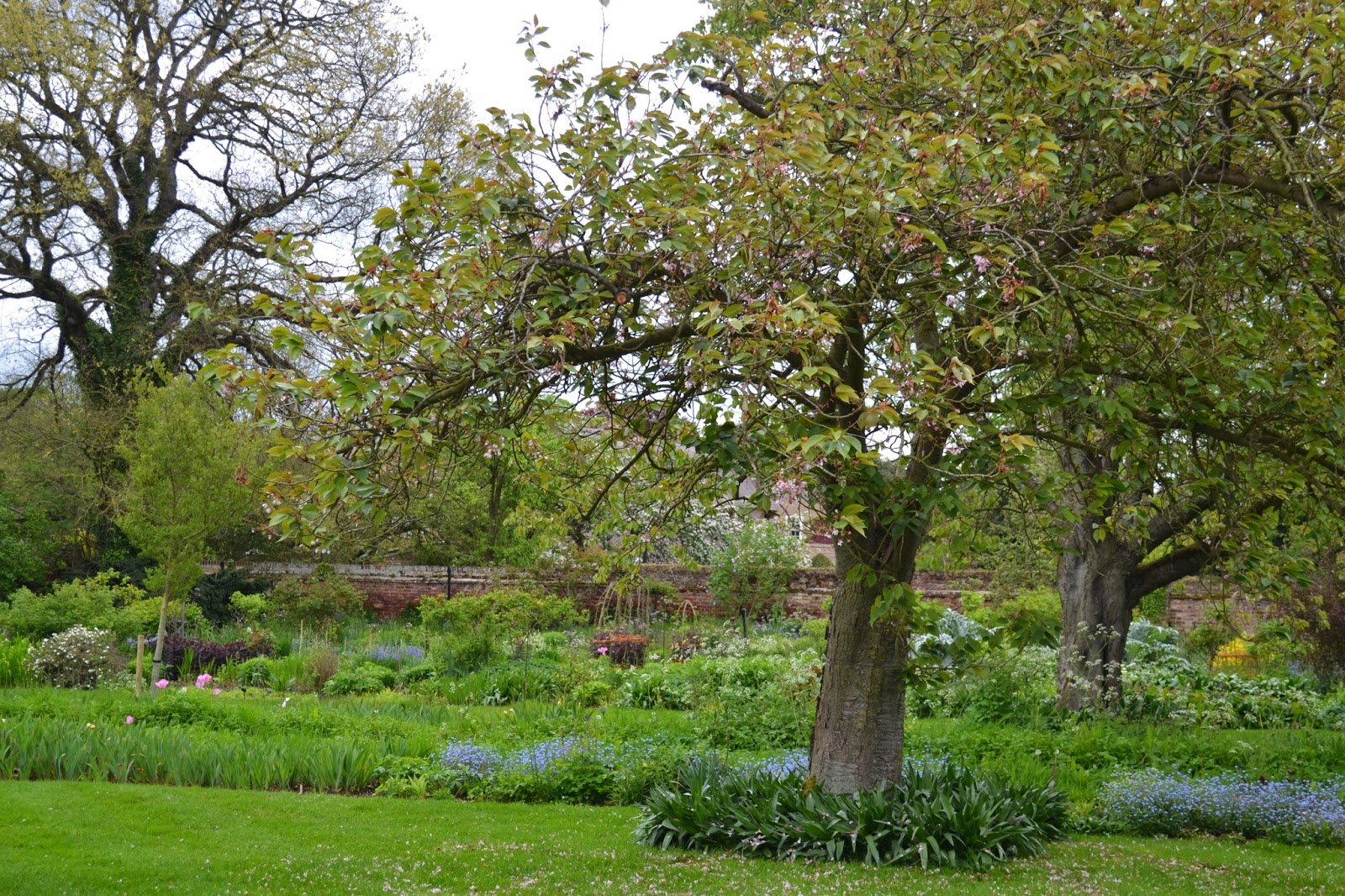 The Gardens of The Manor Hemingford Grey in Huntingdon