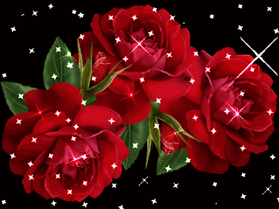 Free Download HD Wallpapers: Red Rose Animated Photos HD ...