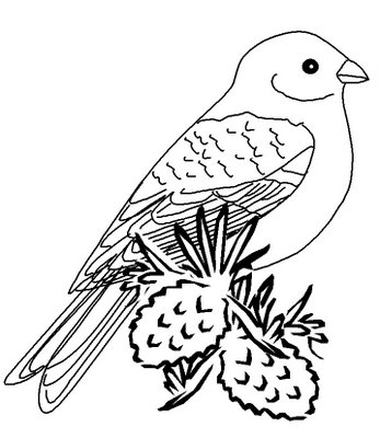 masaxy: Desenhos de Pássaros para Pintar