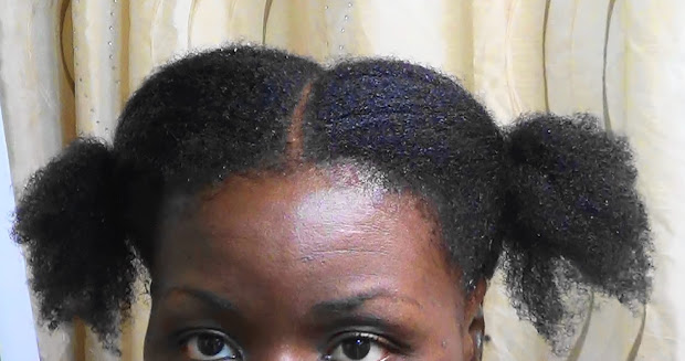 jumbo flat twist updo with marley