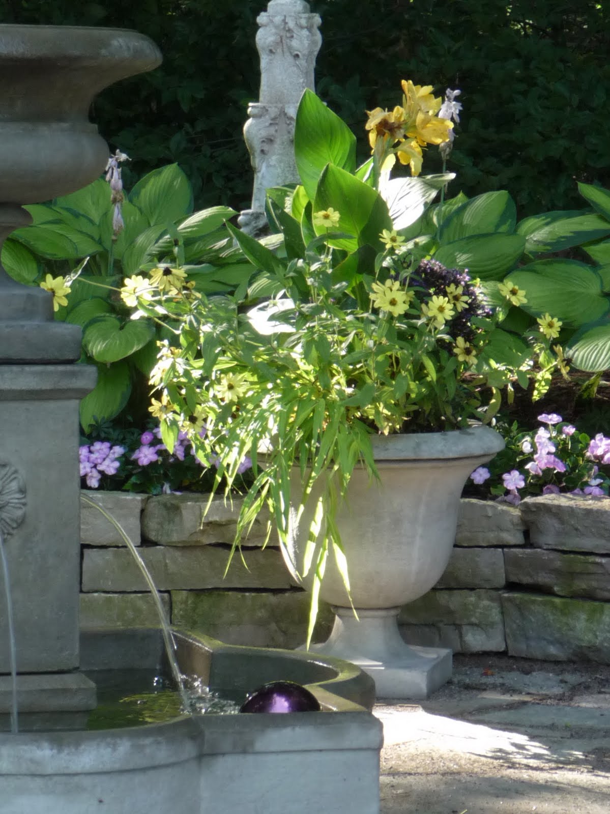 Benign Neglect Gardening Journal Tips Transplanting Seedlings