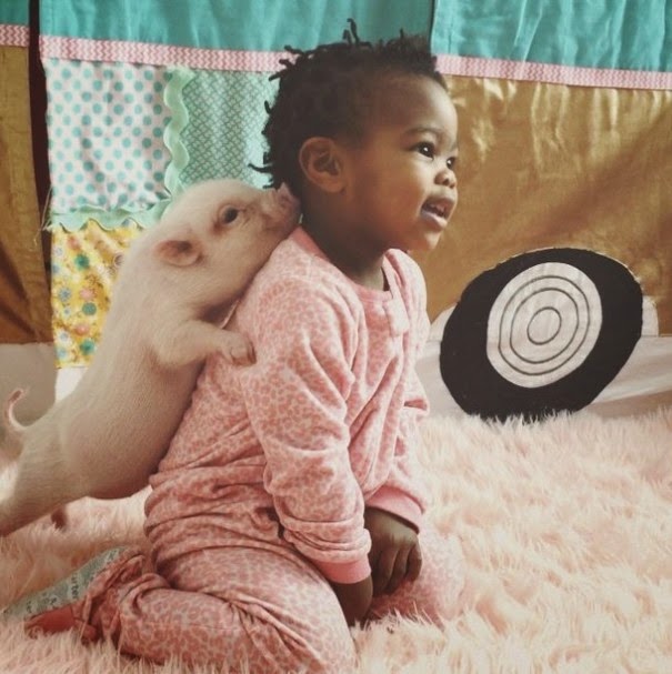 Lindsey writes, “God has blessed us so much through adoption and it is now my passion to share adoption love with others!” - The Heartmelting Friendship Of A 2-Year-Old Girl And Her Piglet Lindsey writes, “God has blessed us so much through adoption and it is now my passion to share adoption love with others!” - The Heartmelting Friendship Of A 2-Year-Old Girl And Her Piglet