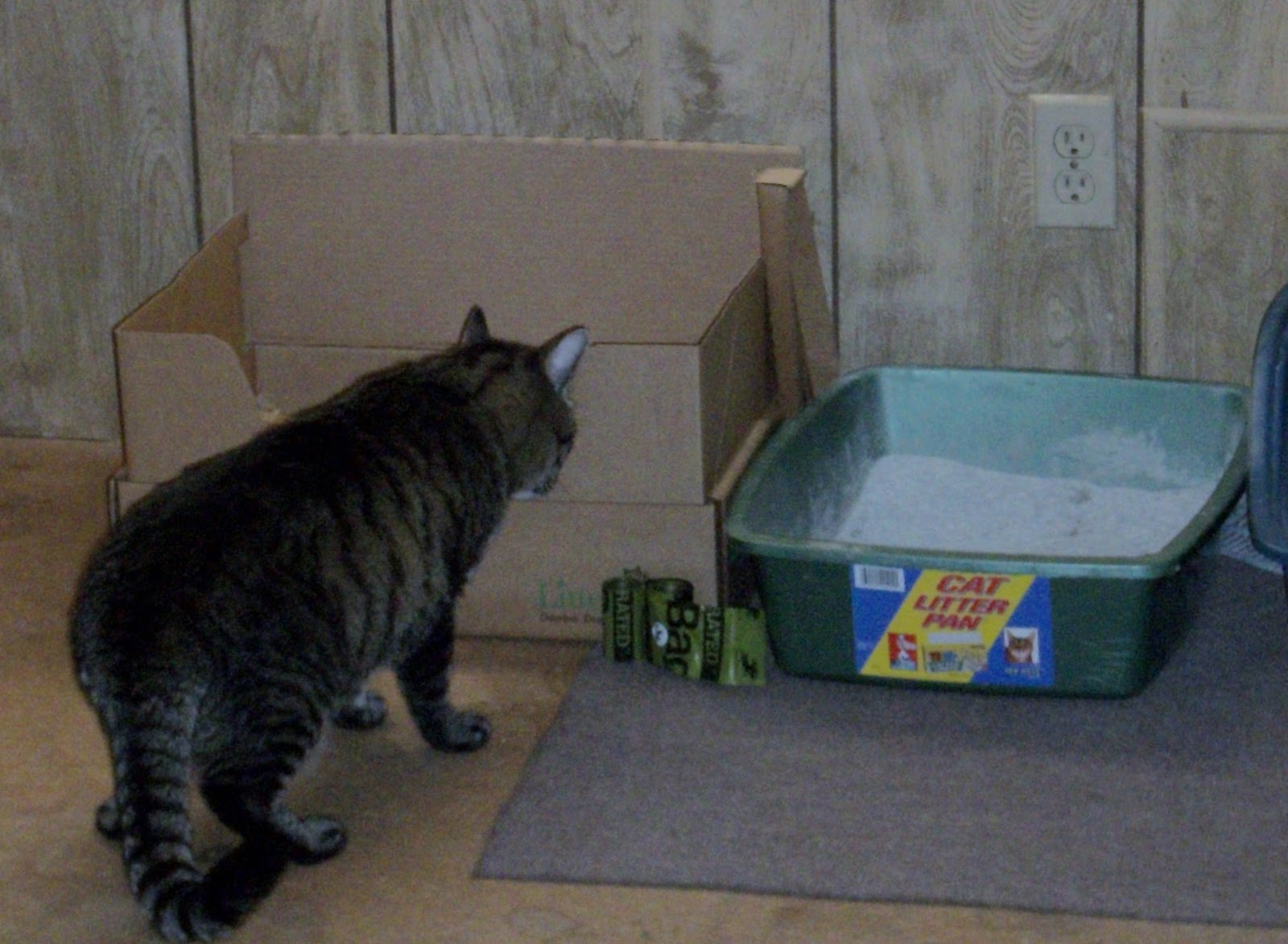 Frugal Shopping and More Litter One Review