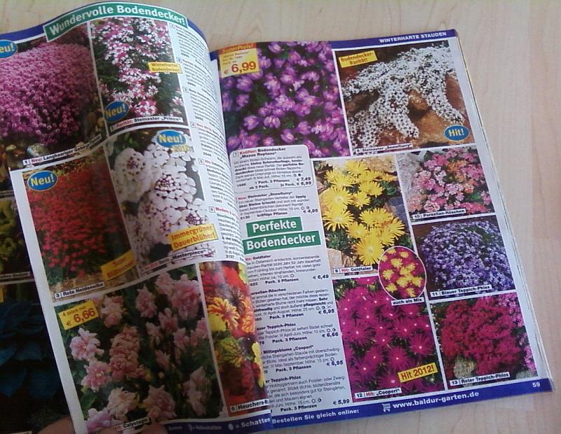 Terrassen Und Balkonbepflanzung Bezugsquellen Fur Pflanzen Und