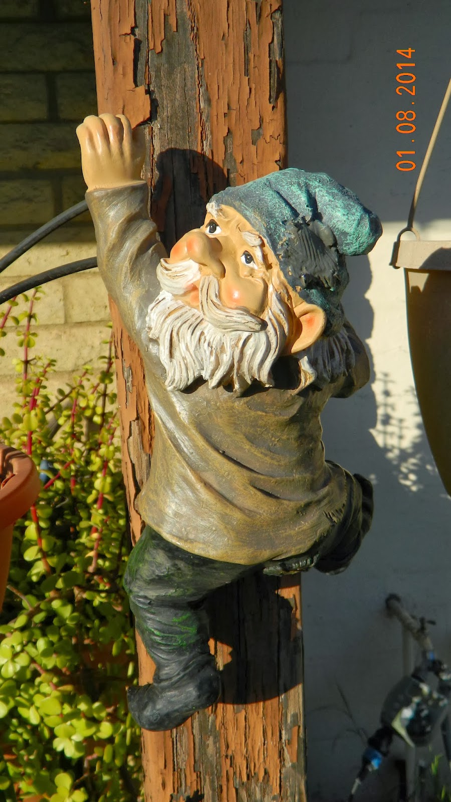 Mr. B's Garden: Mid-month Update