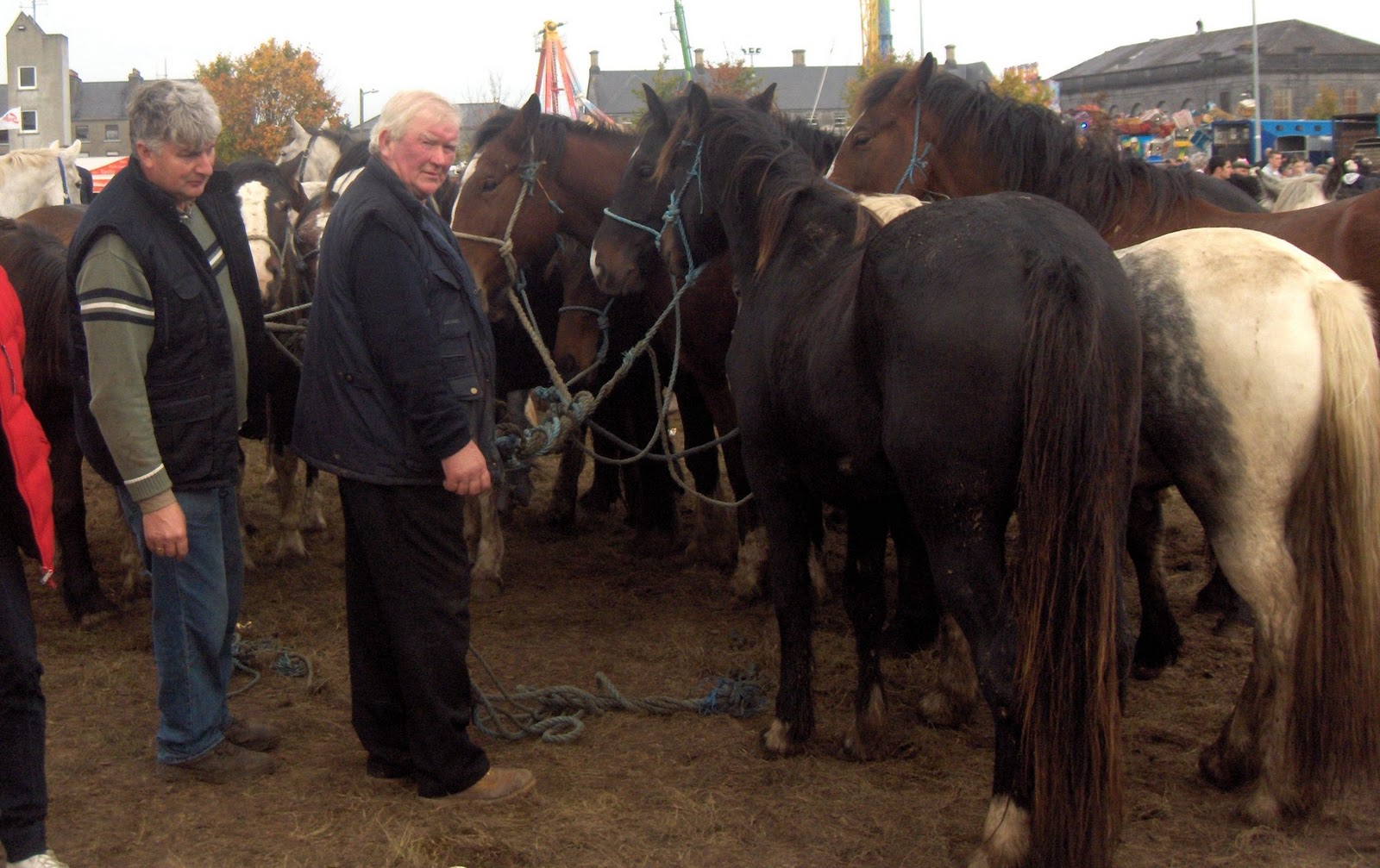 Speedie's Blog Ballinasloe Horse Fair