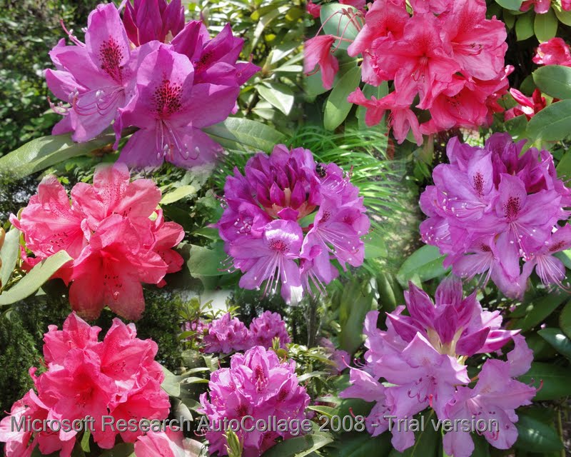 Free jesse mccartney shake free shake jesse mccartney mp3 pitbull shake drop mp3