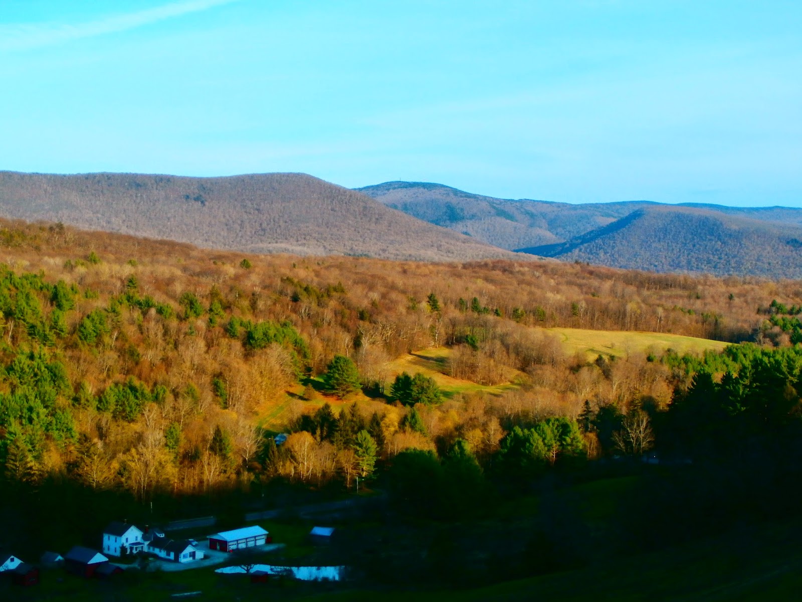 Walking Man 24 7 Williamstown(Field Farm/ Mt Hope Park/ Sheep Hill)