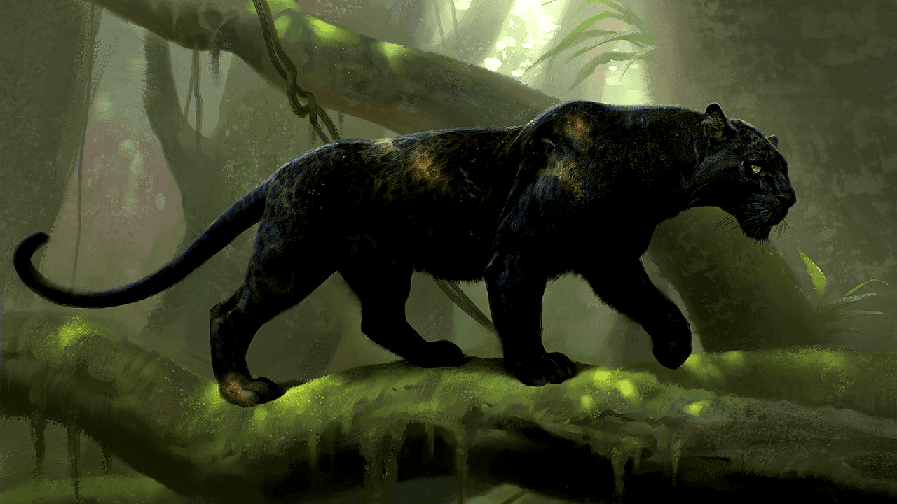 Black Panther Jungle Book - Black Choices