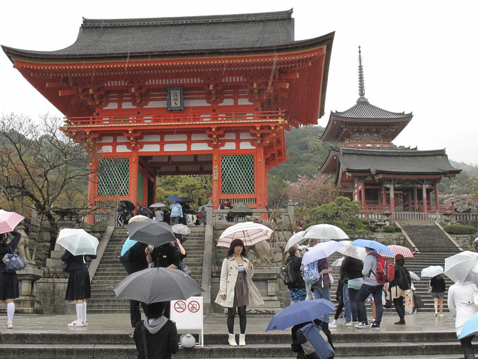 maple city buddhist singles • the 25 best european city breaks and where to stay a tibetan buddhist monk, but nourishing – porridge with maple syrup, scrambled eggs, tasty. maple city buddhist singles • the 25 best european city breaks and where to stay a tibetan buddhist monk, but nourishing – porridge with maple syrup, scrambled eggs, tasty.