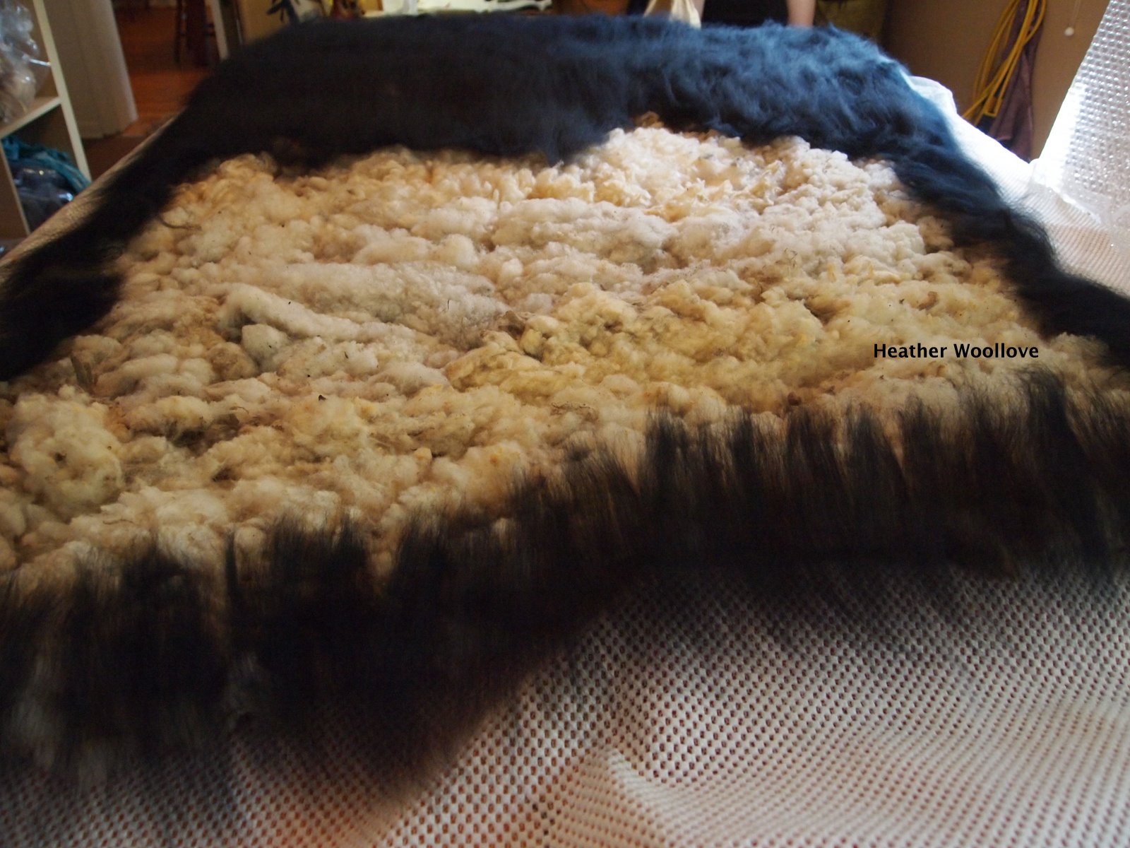 Wool lovefunctional fiber art L's Raw Fleece RugPart 1 of 3