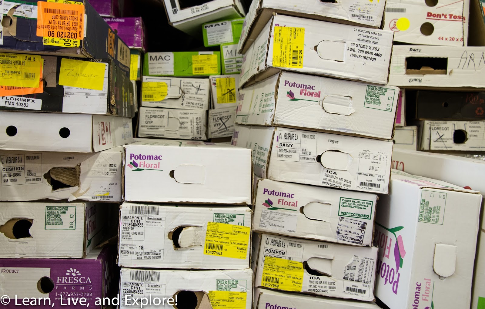 A Day of Flowers From the Wholesaler to a Arrangement