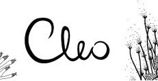 <b>Cleobarnett.com</b>