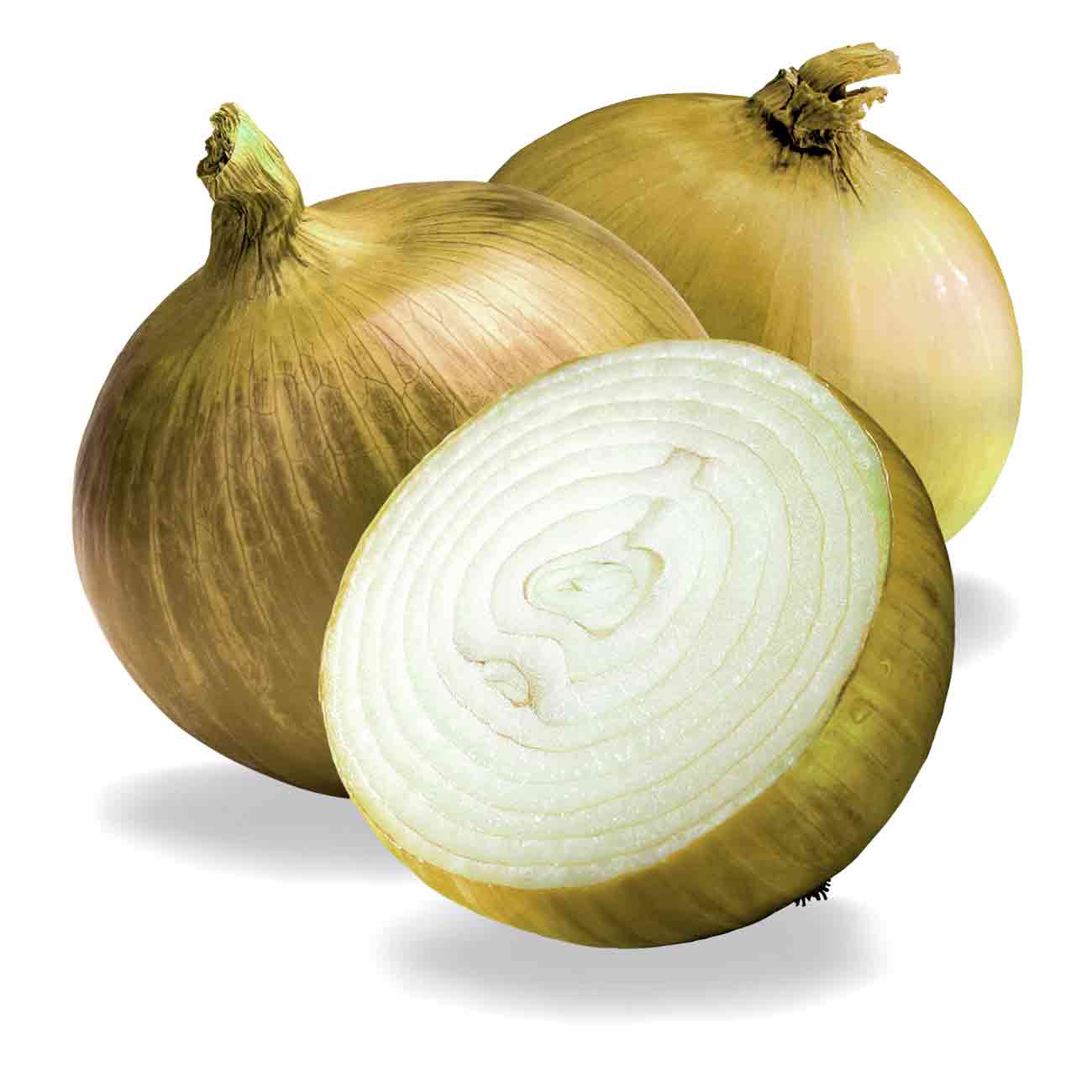 Fruits & Vegetables Benefits benefits of white onion