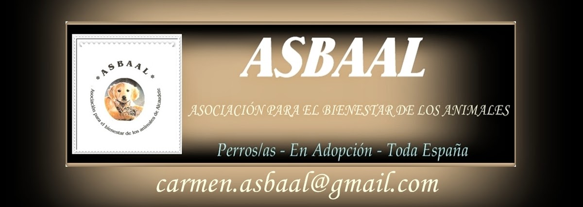 (ASBAAL) - Asociación para el Bienestar de los Animales