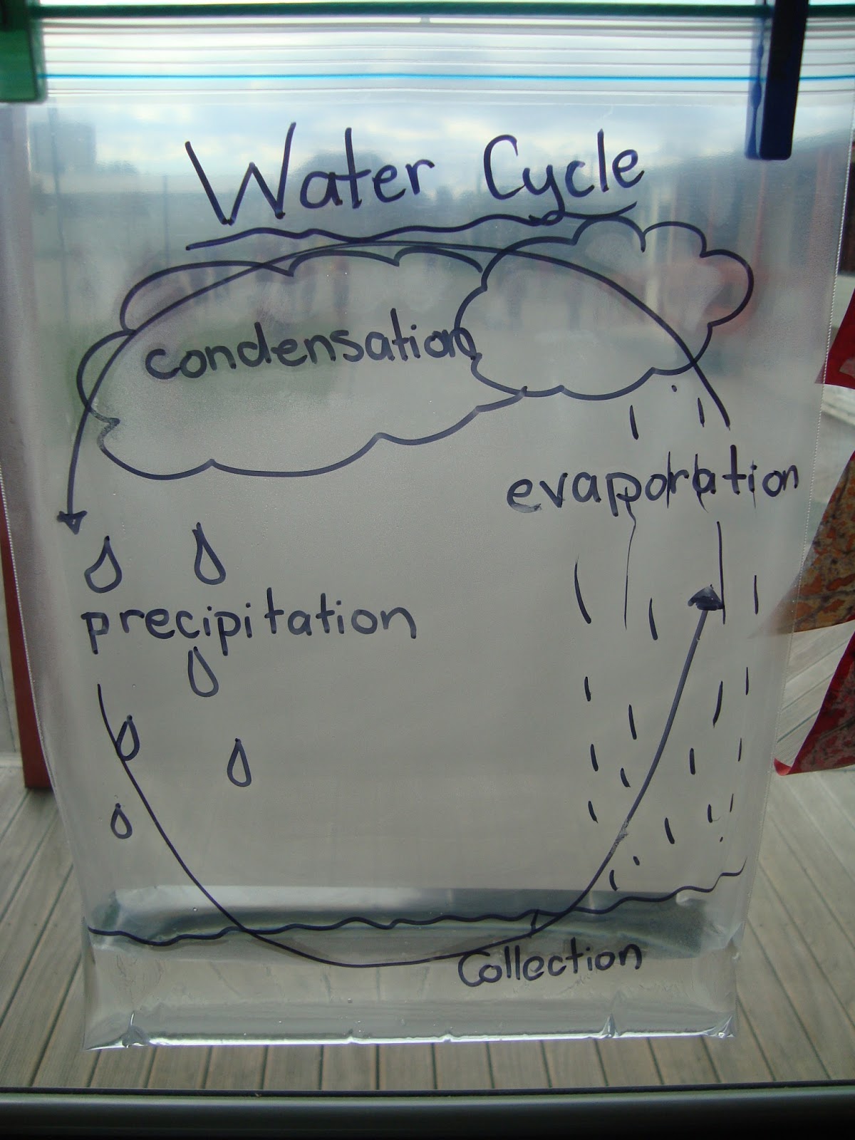 Water Cycle Experiment With Ziploc Bag at Derrick Matthew blog