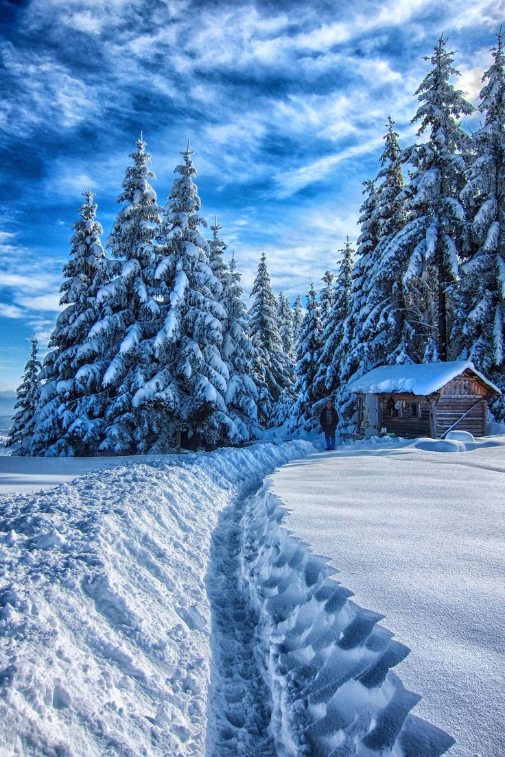 sorts of acts - Winter, Sarajevo, Bosnia and Herzegovina