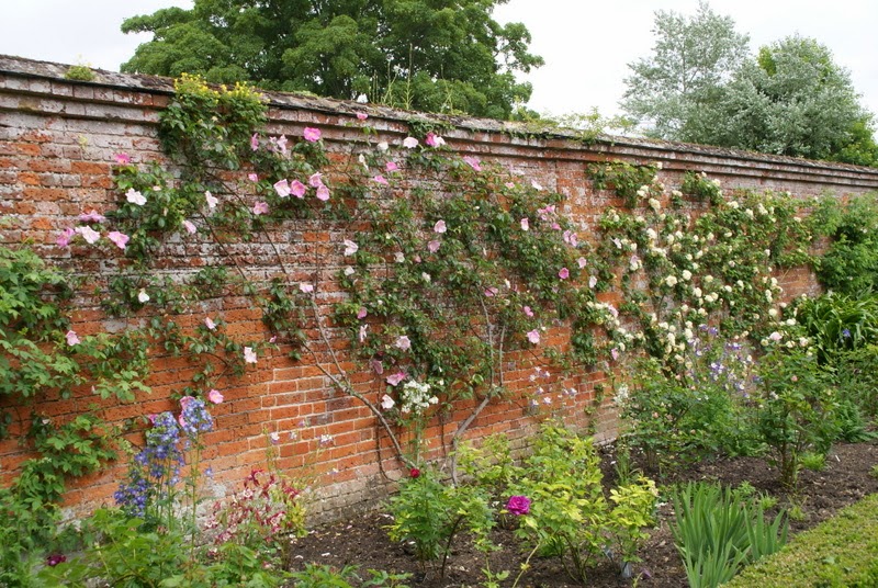 Organic Garden Dreams Mottisfont Abbey A Rose Lover S Paradise Iv