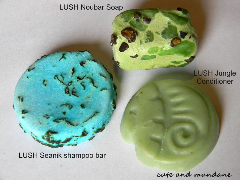 Cute and Mundane My everyday LUSH shower products