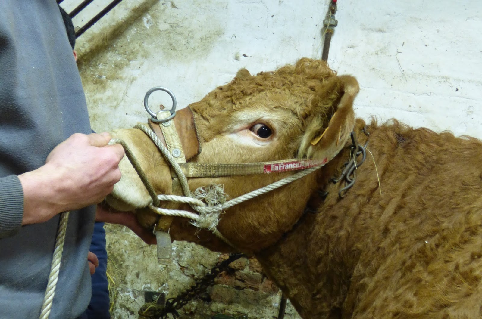la rencontre que nous avons eue