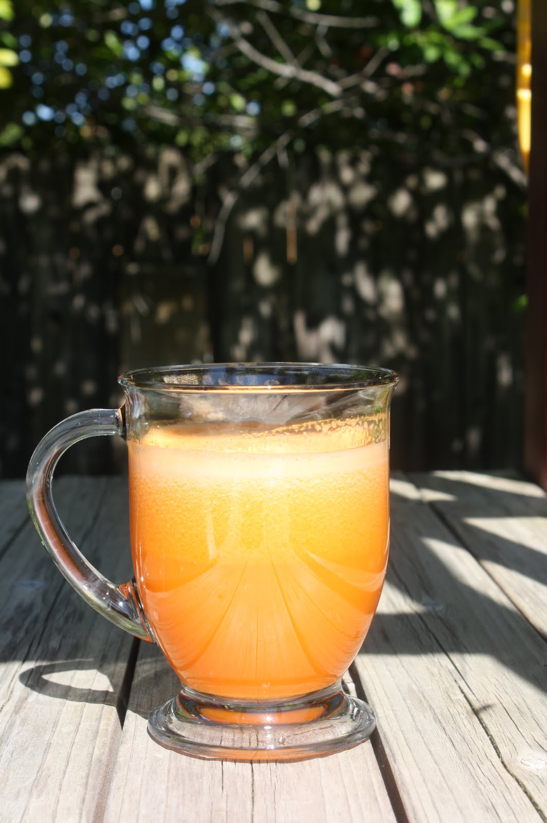 JUICED ALIVE Cantaloupe + Orange + Carrot Juice Drink
