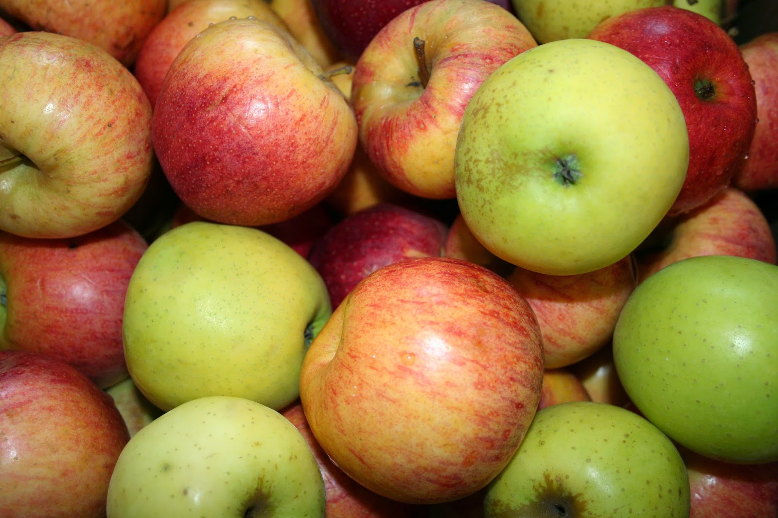 Whispers From Elizabeth Apples, Apples, Everywhere!