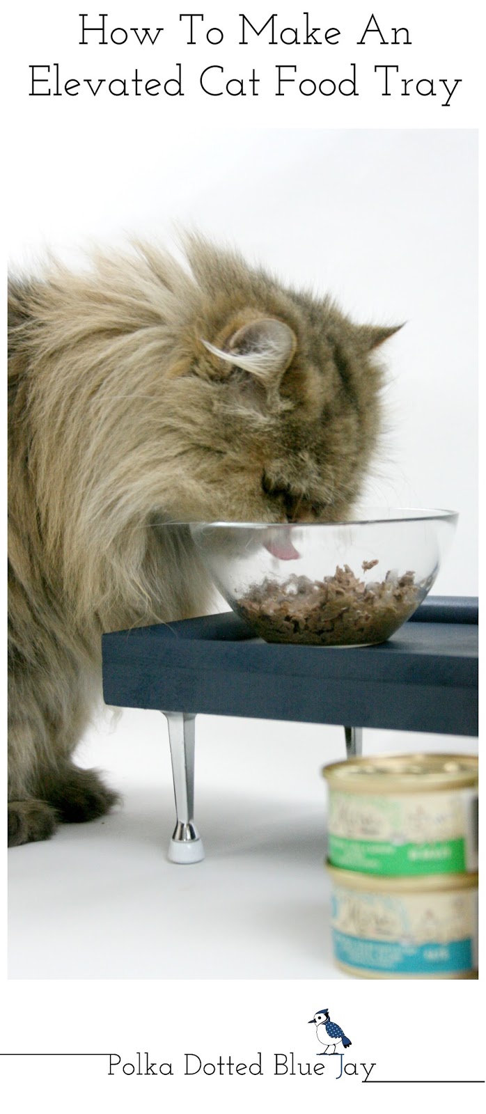 How to Make an Elevated Cat Food Tray Polka Dotted Blue Jay