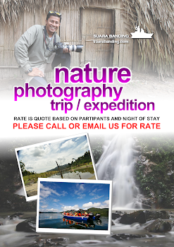 Nature Photography