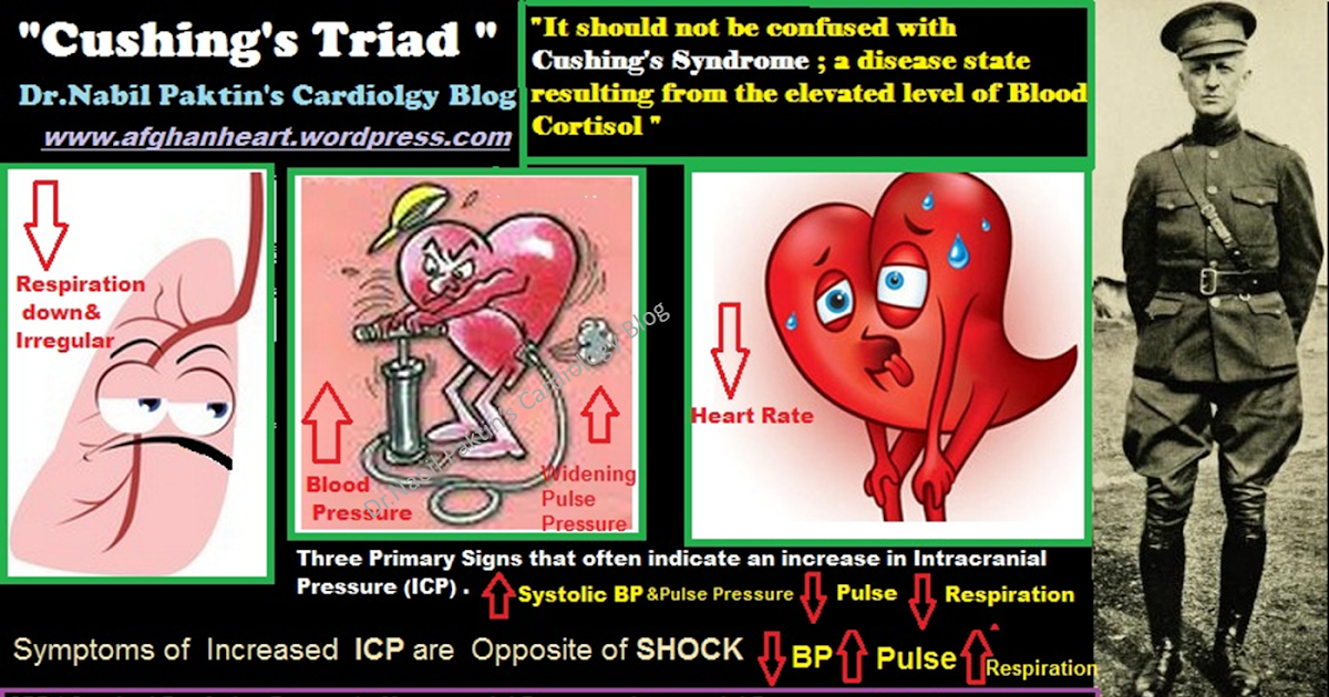 Dr.Nabil Paktin's Cardiology Blog مجله کاردیولوژی دکتور نبــیل پاکطـین