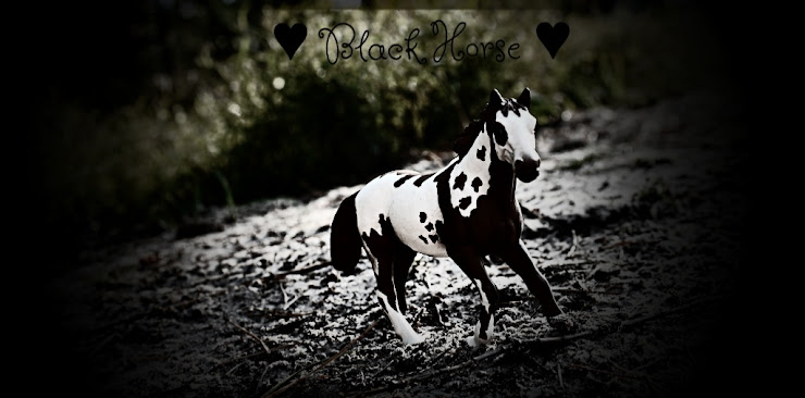 ♥ black horse ♥