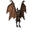 fledermaus_04.gif