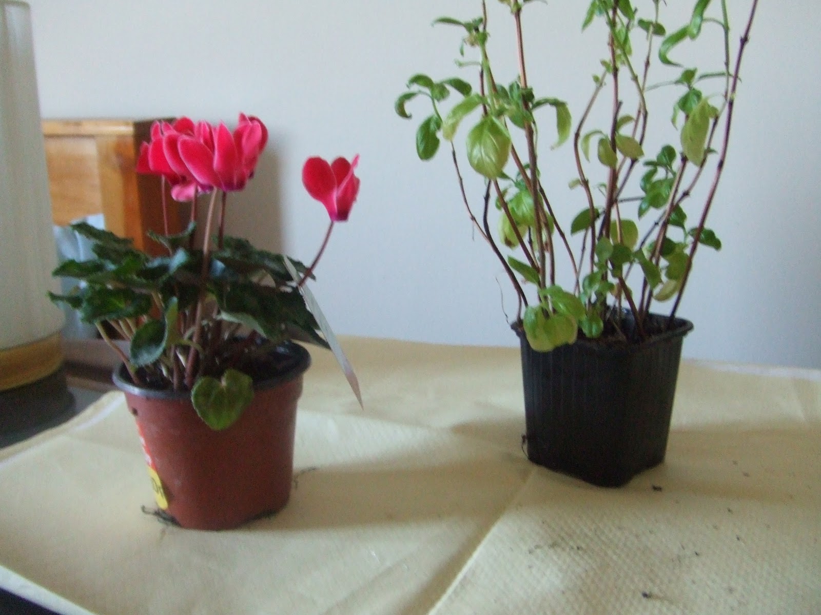 Made With Sparkle Flower Pot Makeover Decorate Your Own Plant Pots