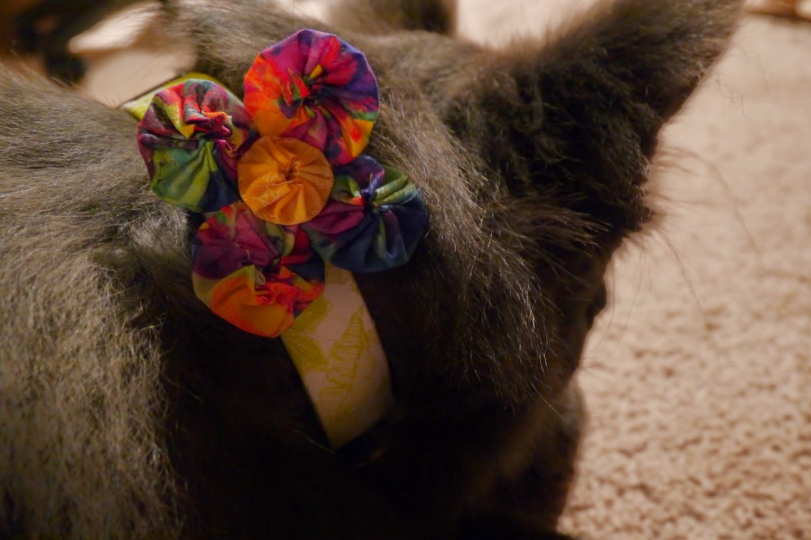 Crafting with Court Flower Dog Collar Detachable Attachment