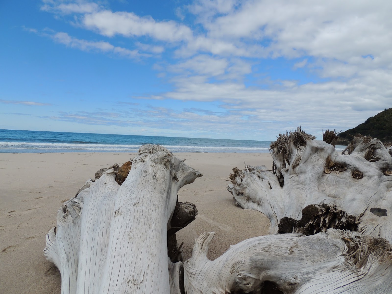 THE ROAD TAKEN Waihi Beach Orokawa Bay Hike + Flat White Cafe
